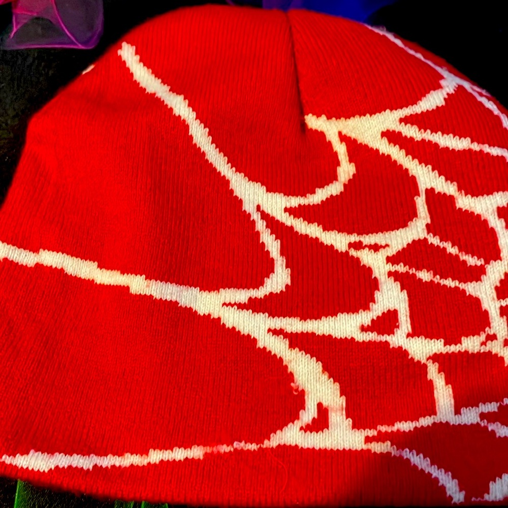 Sp5der beanie